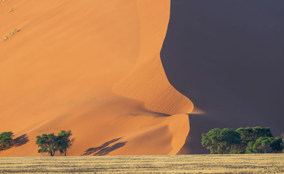 Namibwüste, Damaraland & Etosha