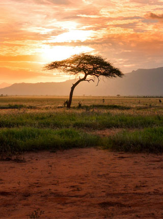 Südafrika