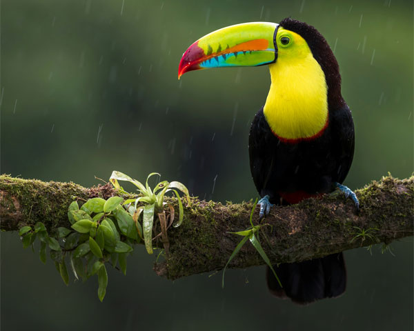 Costa Rica