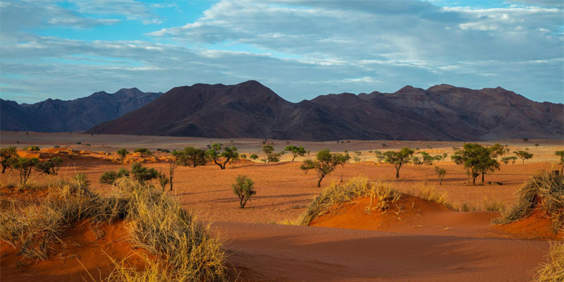Namibia - die große Rundreise